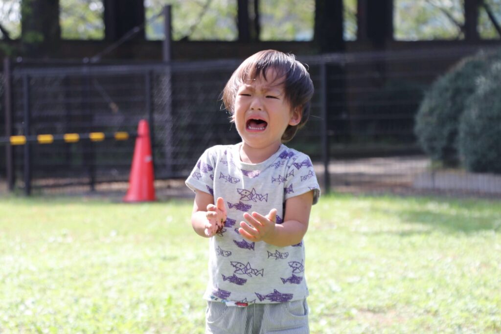 3歳児の反抗期