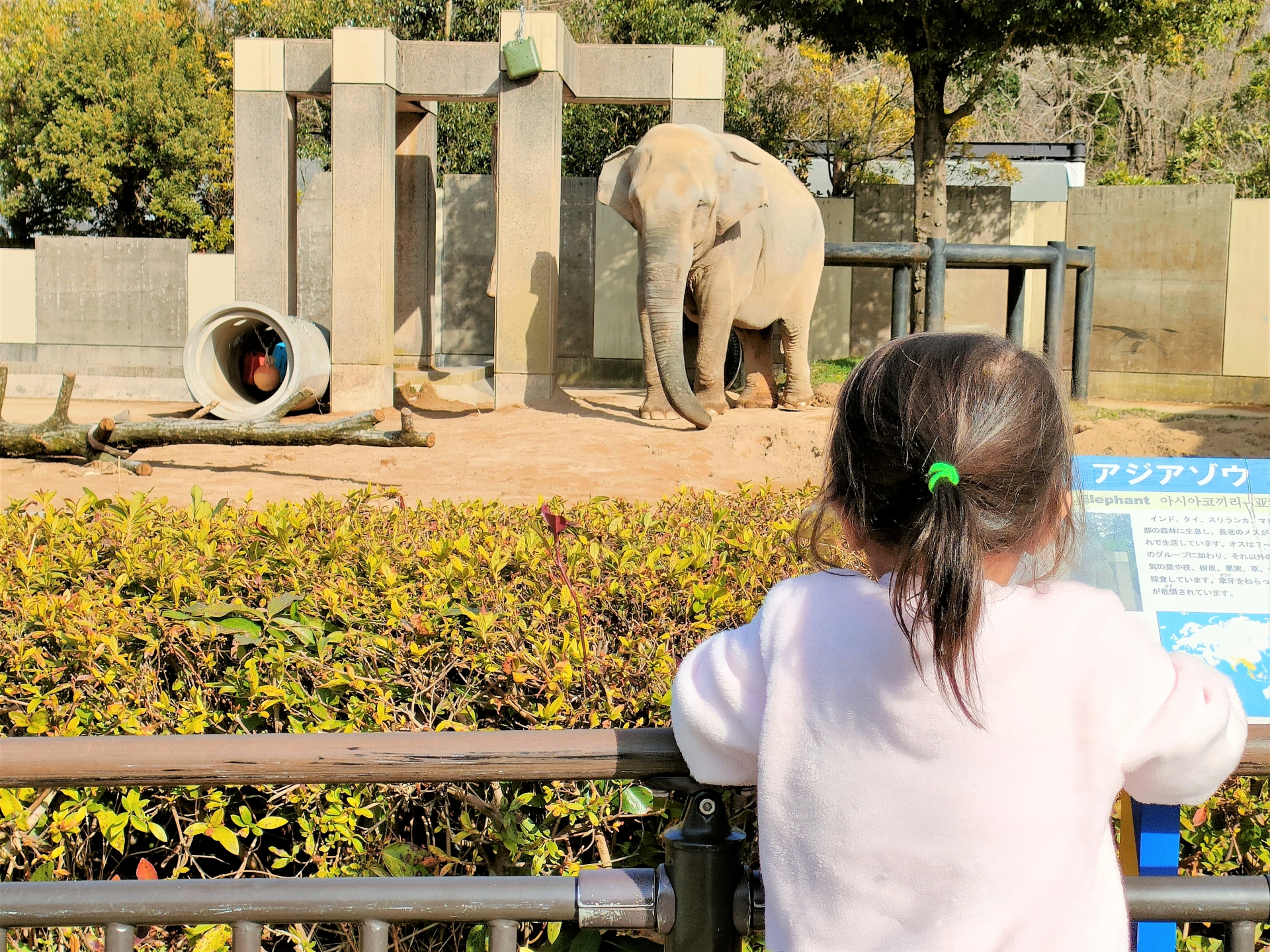 2歳で動物園は楽しめる？