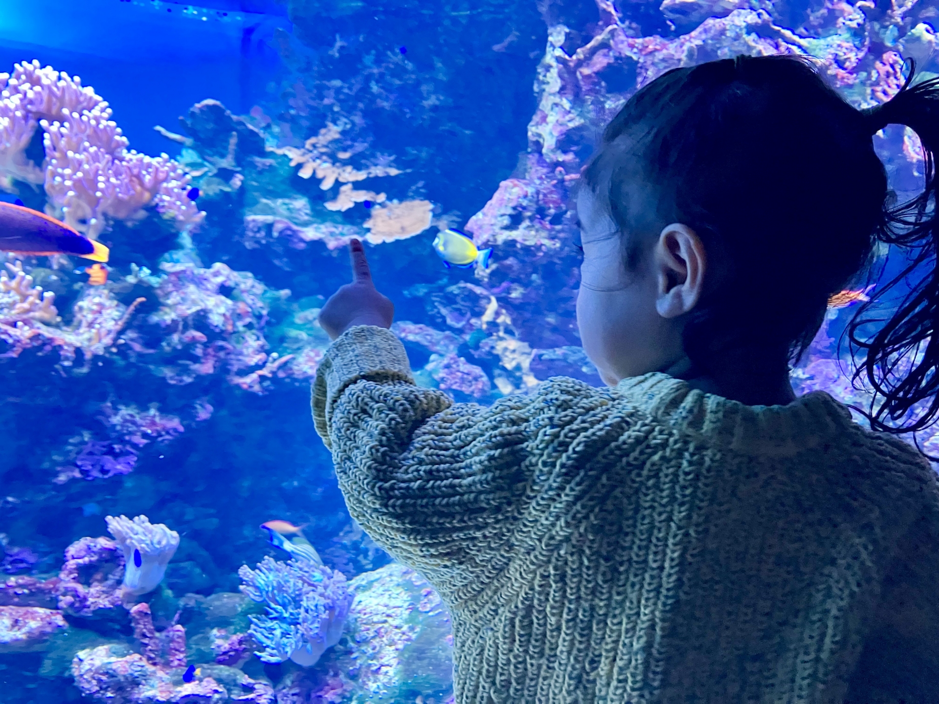 0歳で水族館は楽しめる？