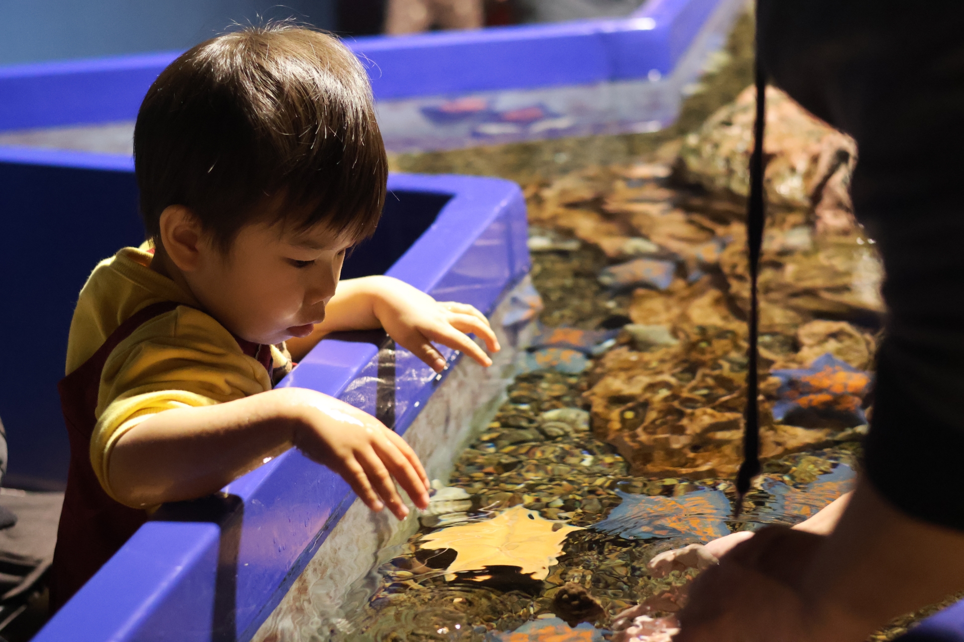 2歳で水族館は楽しめる？